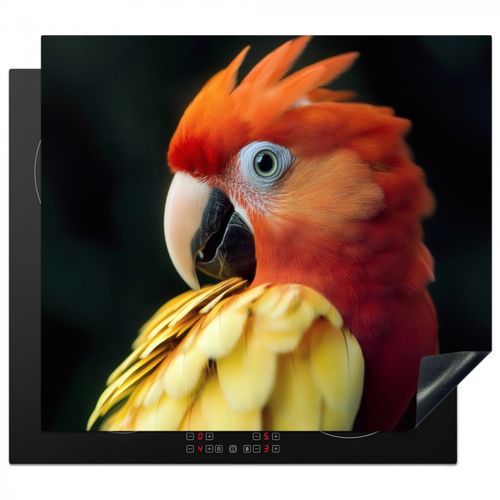 Close-up - Papegaai - Veren - Oranje