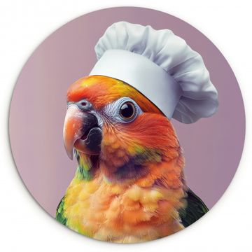 Muurcirkel - Papegaai - Koksmuts - Nieuwsgierig - Vogel