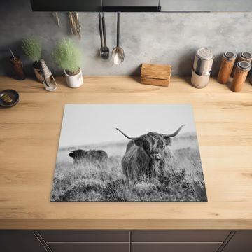 Inductie beschermer - Schotse Hooglander in Monochroom