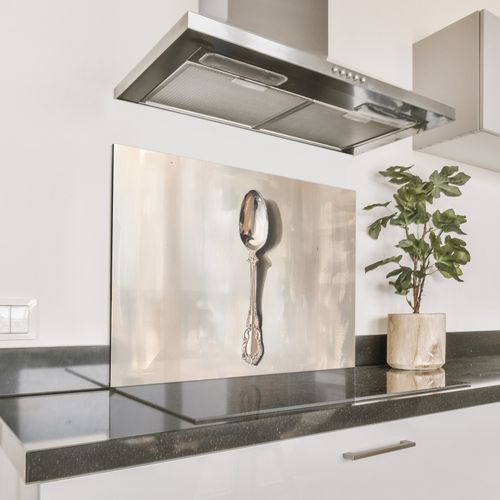 Spatscherm Aluminium - Lepel - Verf - Zilver