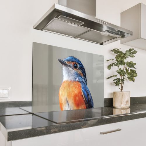 Kleurrijk - Vogeltje - Veren - Blauw