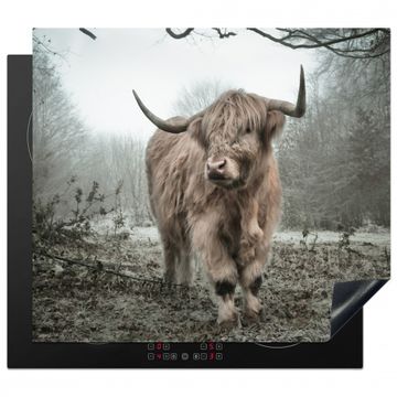 Inductie beschermer - Heerser van de Mist