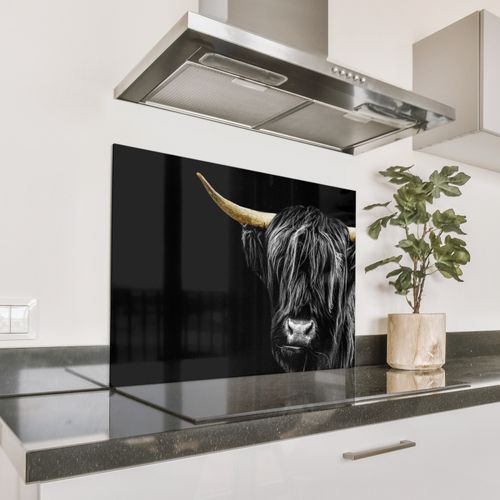 Spatscherm Aluminium - Mysterie in Zwart en Goud
