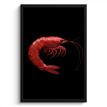 Poster met lijst - Garnaal - Rood - Dieren