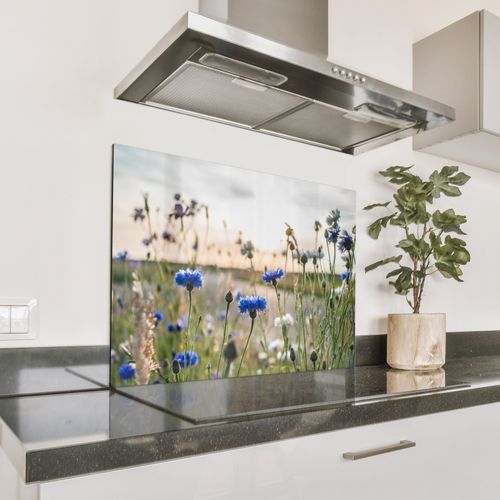 Spatscherm Aluminium - Zomeravond met Korenbloemen
