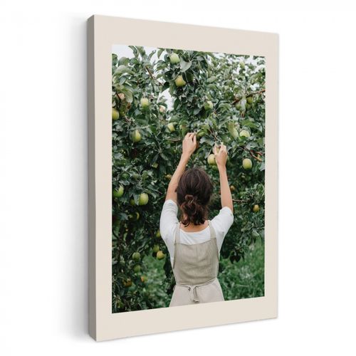 Canvas schilderij - Boom - Appels - Plukken - Natuur