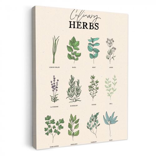 Canvas schilderij - Planten - Keuken - Kruiden