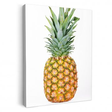 Canvas schilderij - Koning van de Tropen