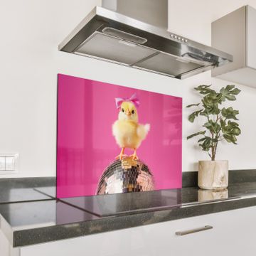 Spatscherm Aluminium - Discobal - Kuiken - Strik