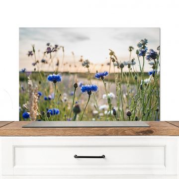 Spatscherm Aluminium - Zomeravond met Korenbloemen
