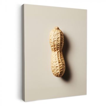 Canvas schilderij - Pinda - Ruw - Beige
