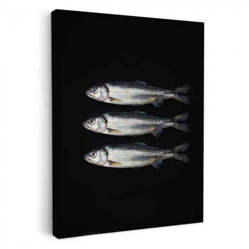 Canvas schilderij - Haring - Vissen - Zwart