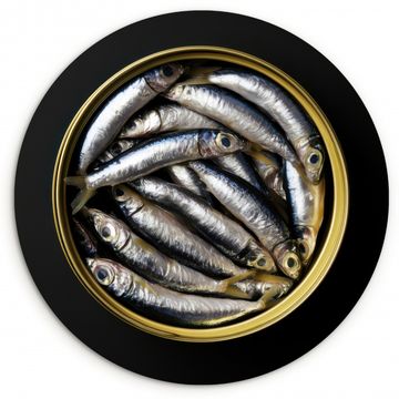 Muurcirkel - Sardines - Vissen - Rond - Zwart