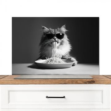 Spatscherm Aluminium - Langharige kat - Zonnebril - Spaghetti - Humor - Zwart - wit