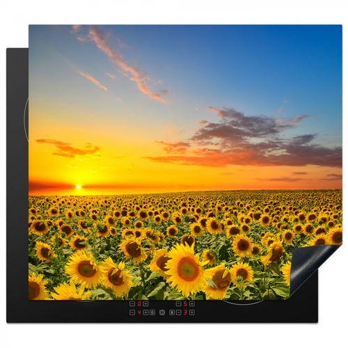 Inductie beschermer - Zonsondergang Boven het Zonnebloemrijk