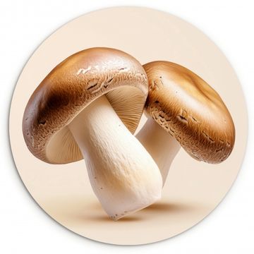 Muurcirkel - Champignons - Zacht - Beige