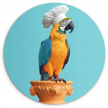 Muurcirkel - Papegaai - Koksmuts - Grappig - Vogel
