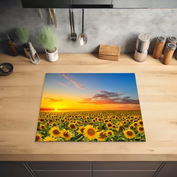 Inductie beschermer - Zonsondergang Boven het Zonnebloemrijk