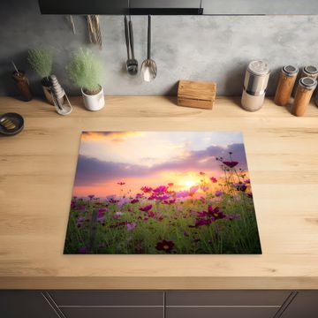 Inductie beschermer - Cosmos bij Zonsondergang