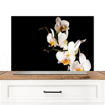Spatscherm Aluminium - Contrastrijke Orchideeën