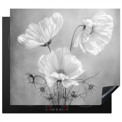Inductie beschermer - Tijdloze Cosmos Elegantie
