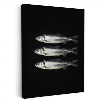 Canvas schilderij - Haring - Vissen - Zwart