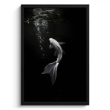 Poster met lijst - Koi - Vis - Wit - Zwart