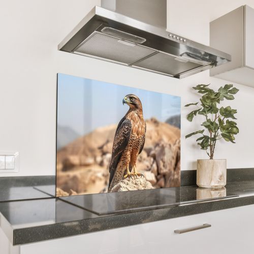 Valk - Vogel - Rots - Macht