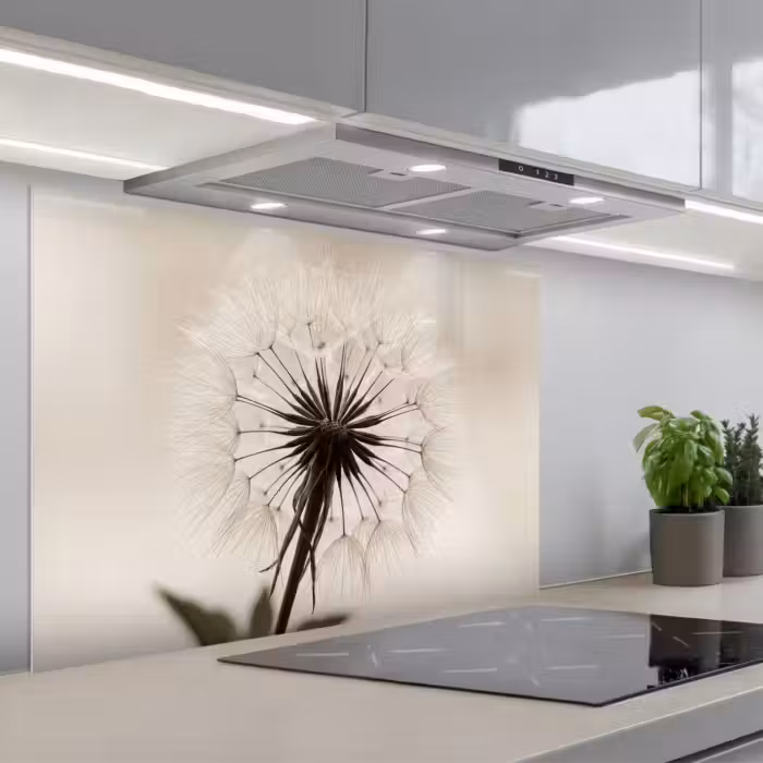 Spatscherm keuken - Paardenbloem - Minimalistisch - Wit