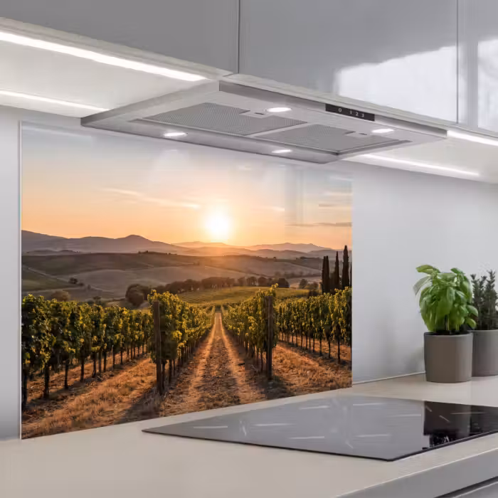 Spatscherm keuken - Wijngaard - Zonsondergang - Landschap