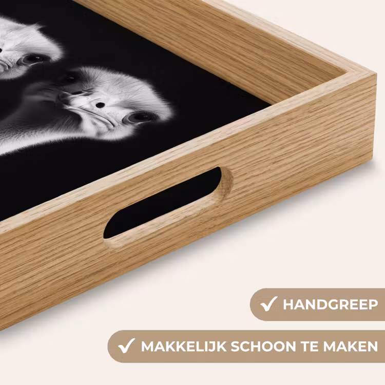 Dienblad - Struisvogels - Halzen - Zwart - Minimalistisch — 8