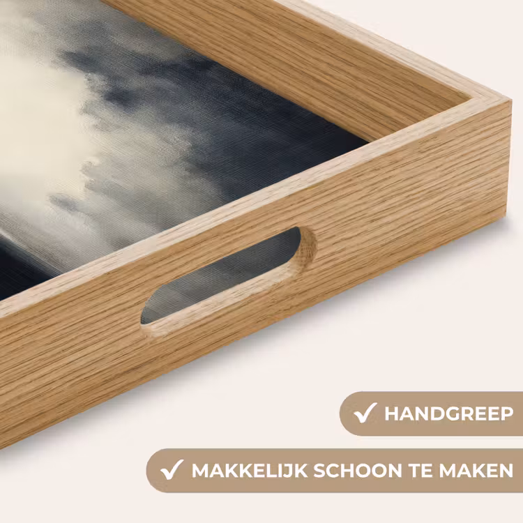 Dienblad - Zee - Rotsen - Storm — 8