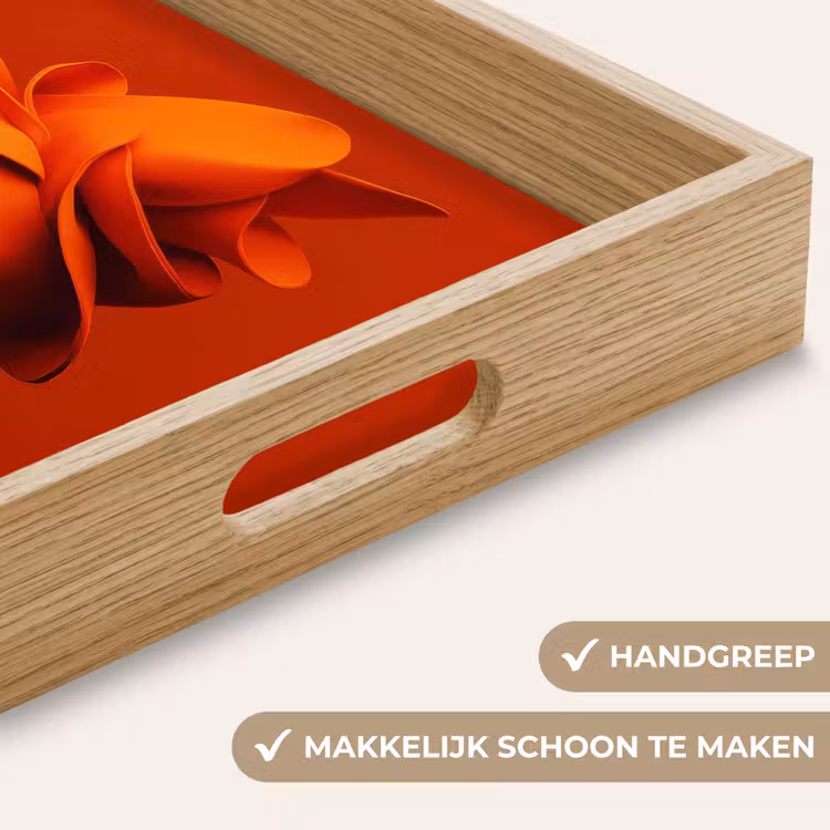 Dienblad - Oranje - Hoed - Vrouw — 8