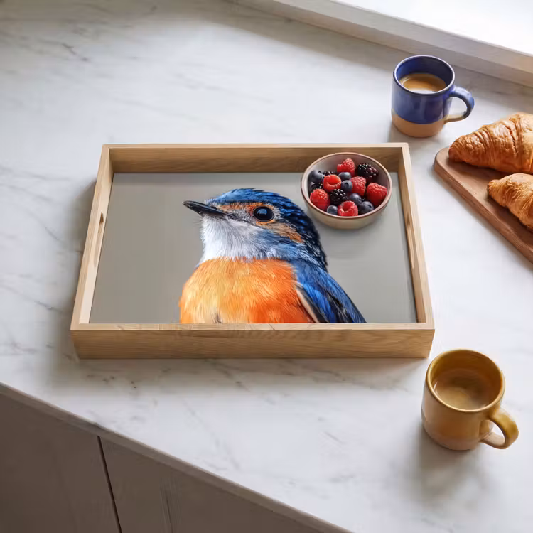 Dienblad - Kleurrijk - Vogeltje - Veren - Blauw — 3