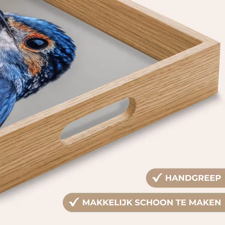 Dienblad - Kleurrijk - Vogeltje - Veren - Blauw — 8