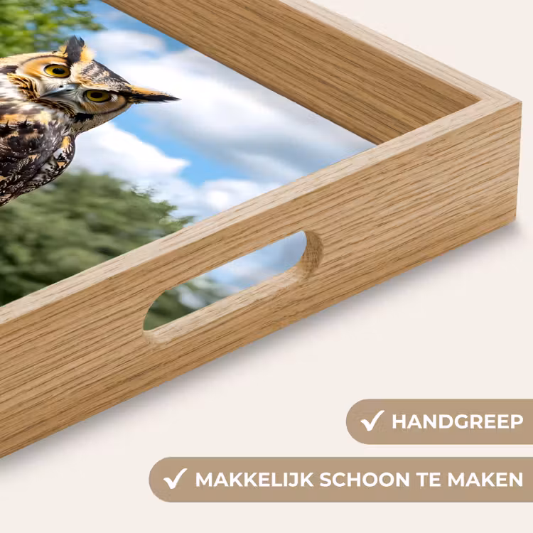 Dienblad - Uil - Boomstronk - Bos - Lucht — 8