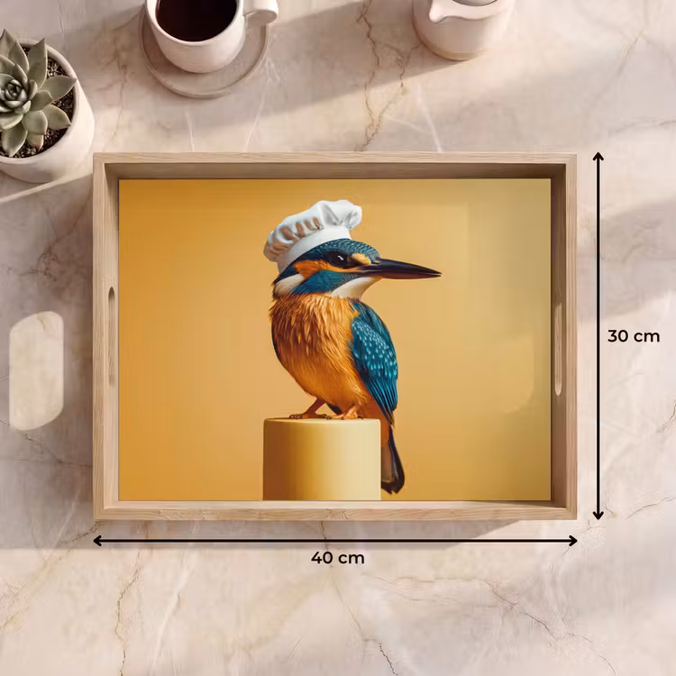 Dienblad - Ijsvogel - Pilaar - Koksmuts - Vogel — 7