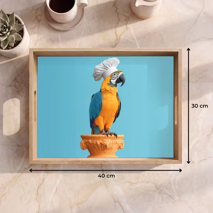 Dienblad - Papegaai - Koksmuts - Grappig - Vogel — 7