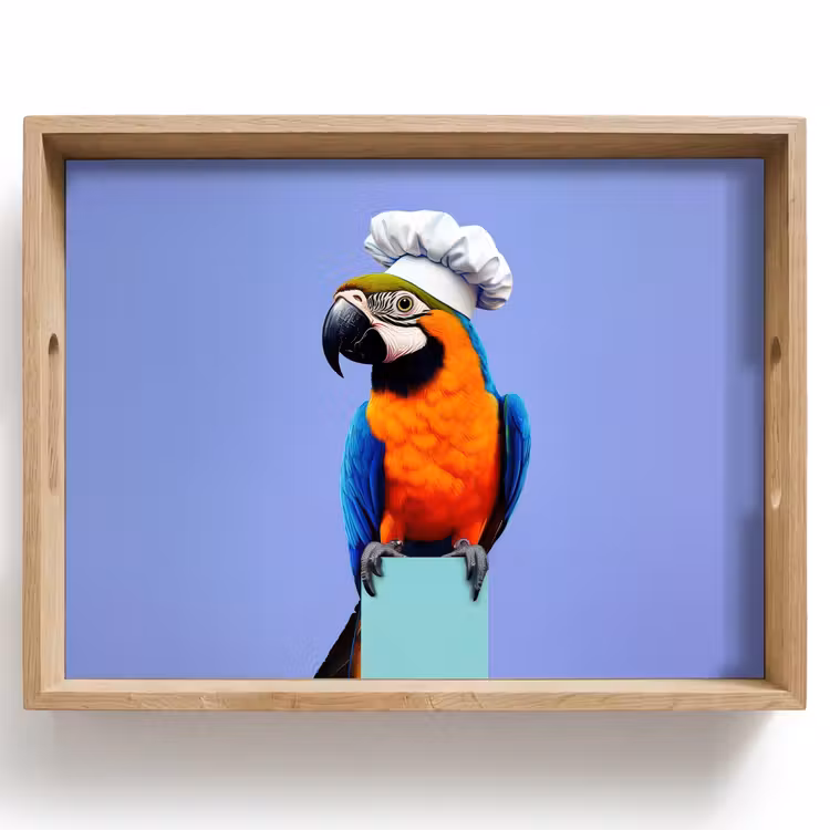 Dienblad - Papegaai - Koksmuts - Vogel - Leuk — 1
