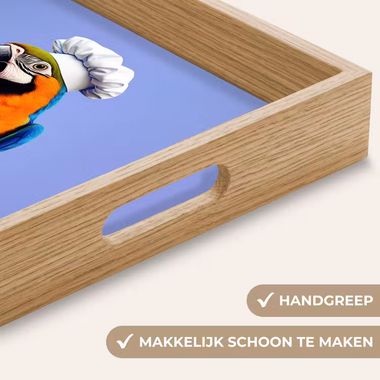 Dienblad - Papegaai - Koksmuts - Vogel - Leuk — 8