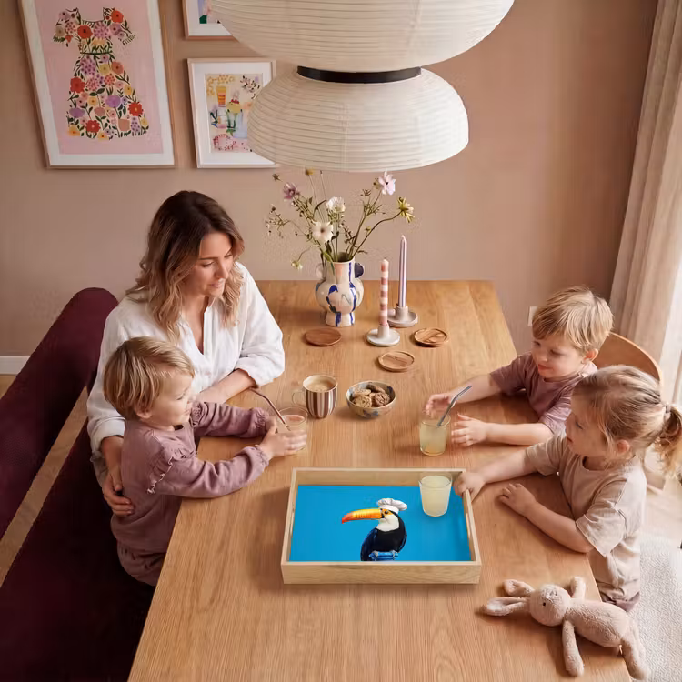 Dienblad - Tucan - Sokkel - Vogel - Koksmuts — 5