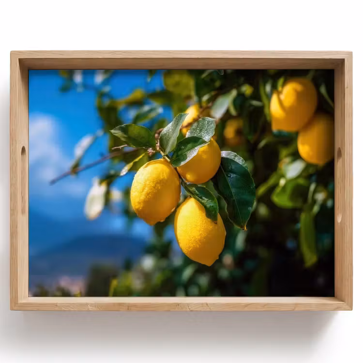 Dienblad - Citroenen - Bladeren - Blauwe lucht — 1