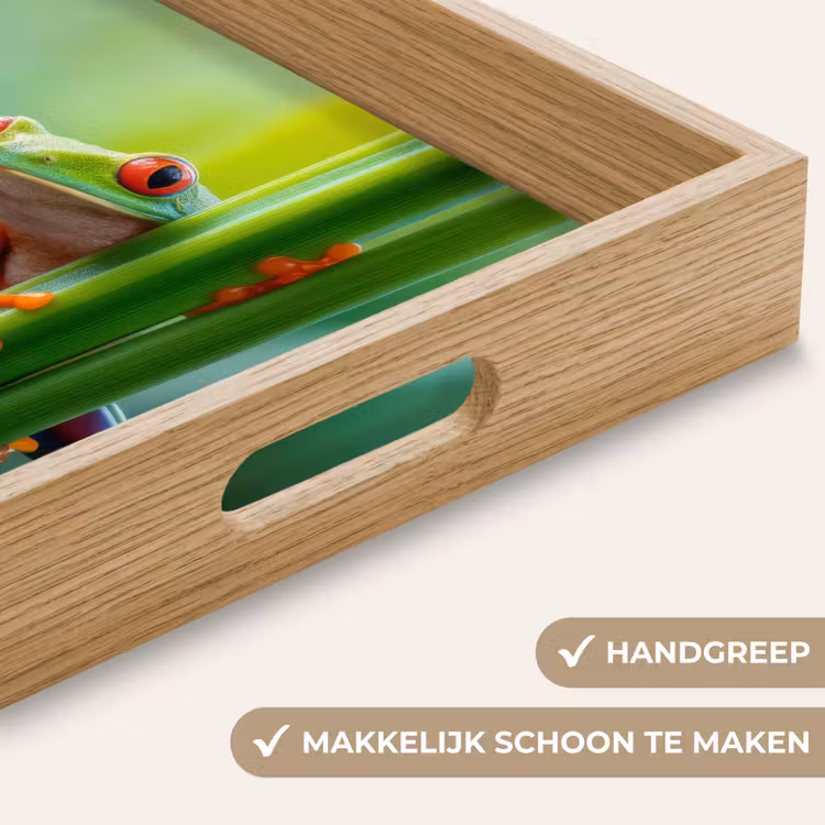 Dienblad - Groene kikker - Nieuwsgierig - Gras — 8