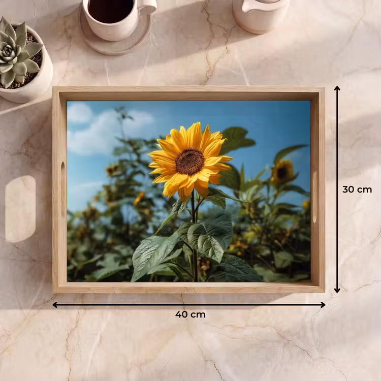 Dienblad - Zonnebloemen - Helderblauwer lucht - Gras — 7
