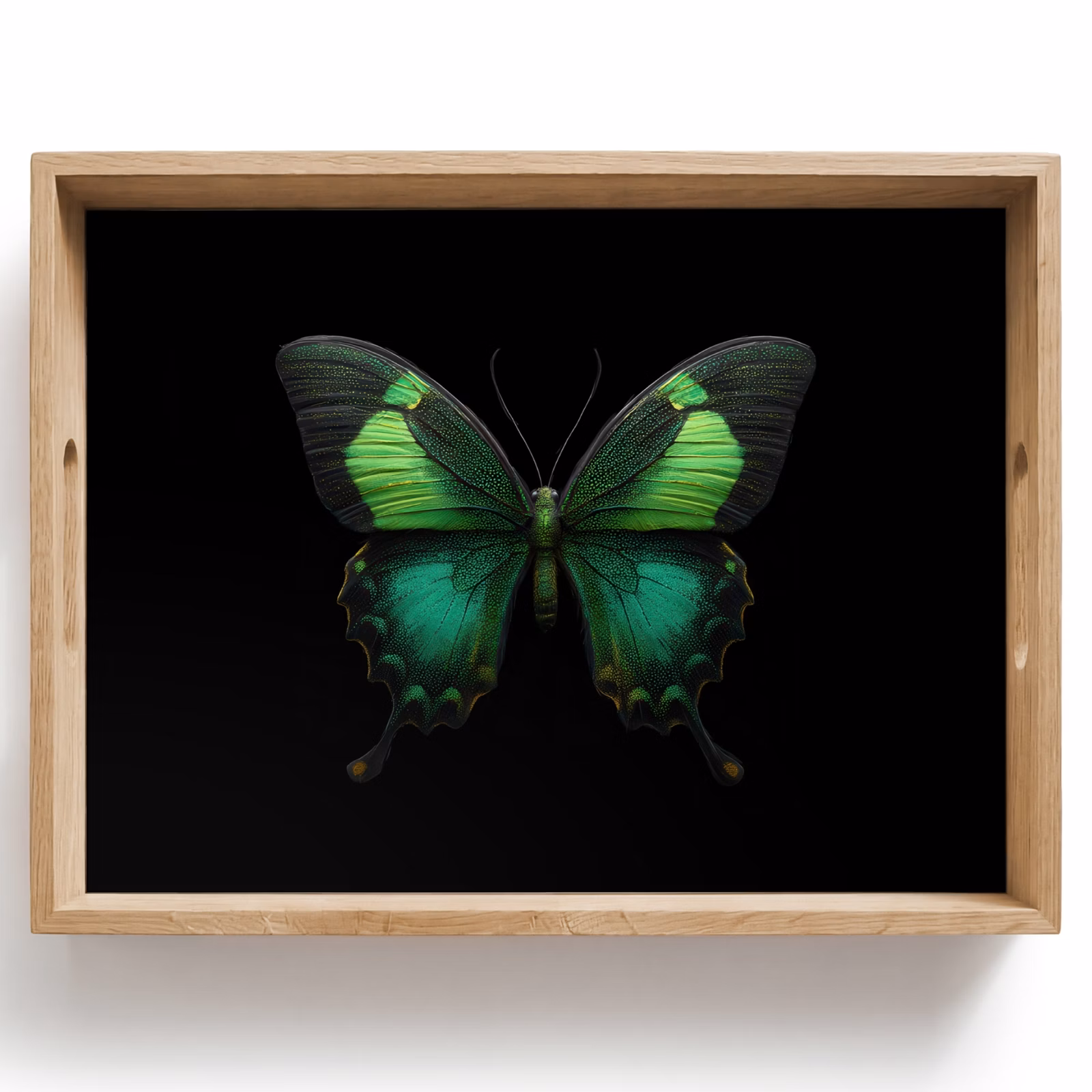 Dienblad - Vlinder - Groen - Opvallend — 1