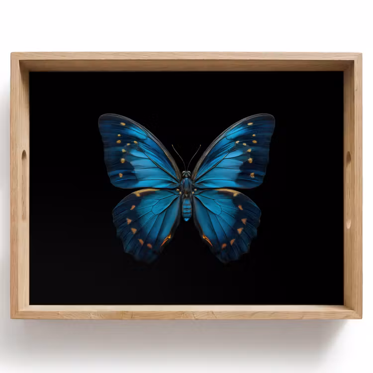 Dienblad - Vlinder - Blauw - Contrast — 1