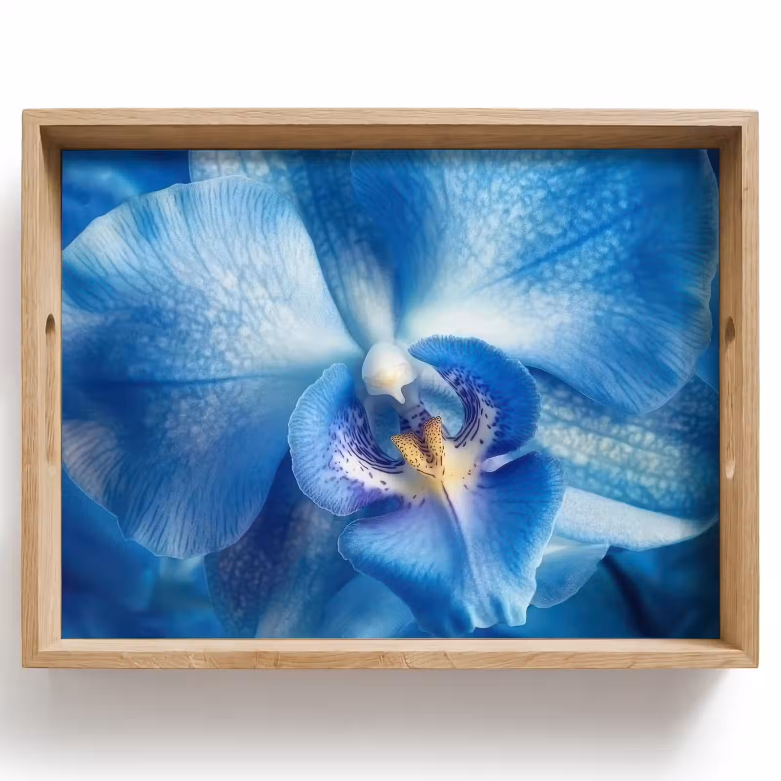 Dienblad - Blauw - Orchidee - Elegeant — 1