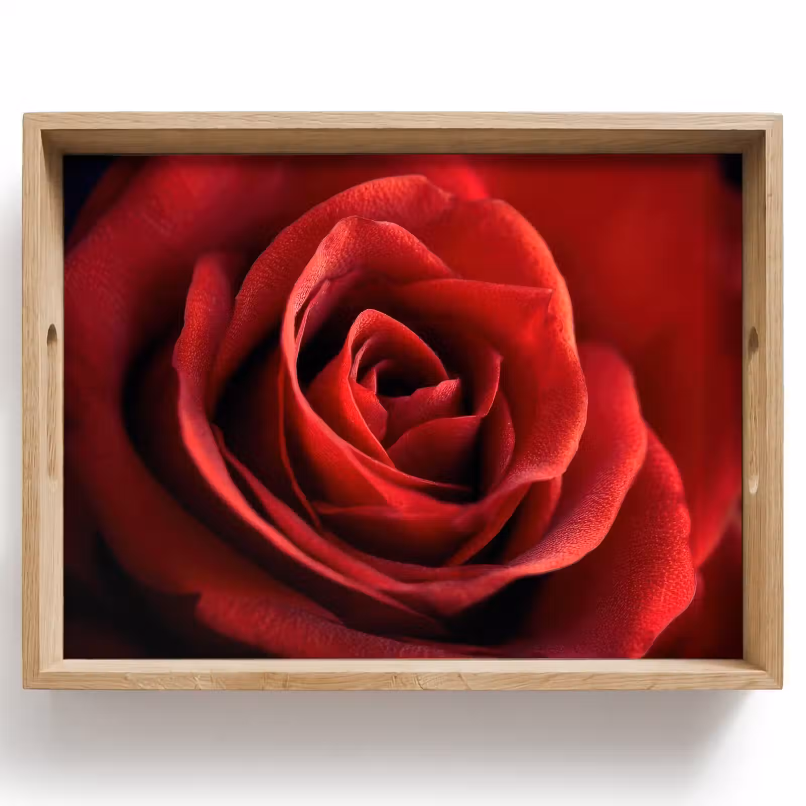 Dienblad - Rood - Roos - Romantisch — 1