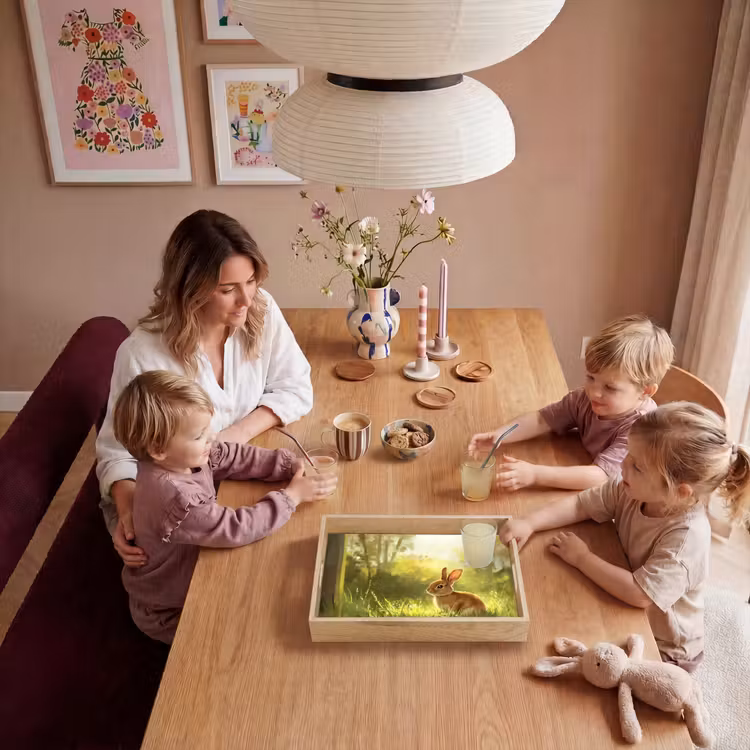Dienblad - Konijn - Zonlicht - Bos — 5
