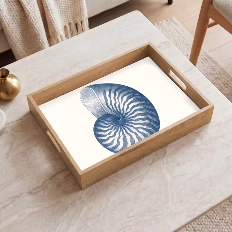 Dienblad - Blauw - Schelp - Spiraal — 2